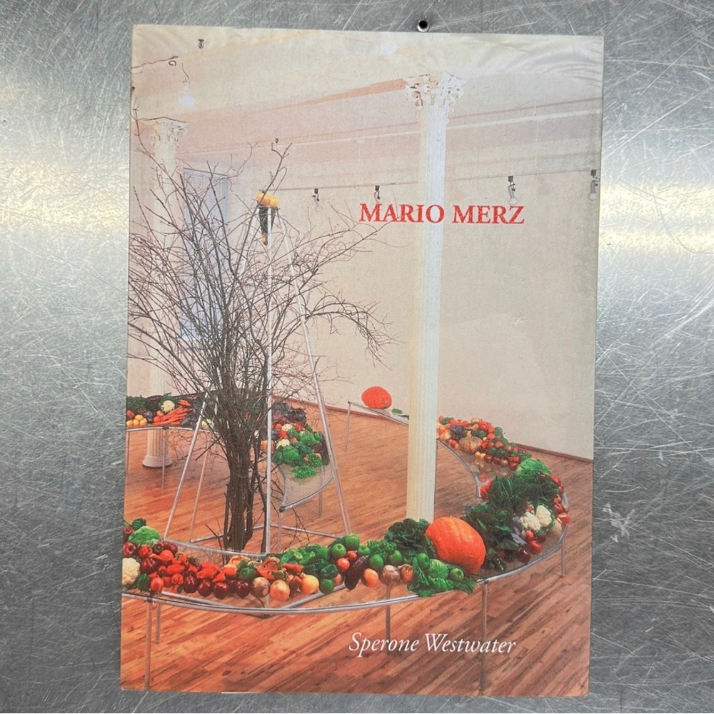 Mario Merz Selected Works 1967-1982